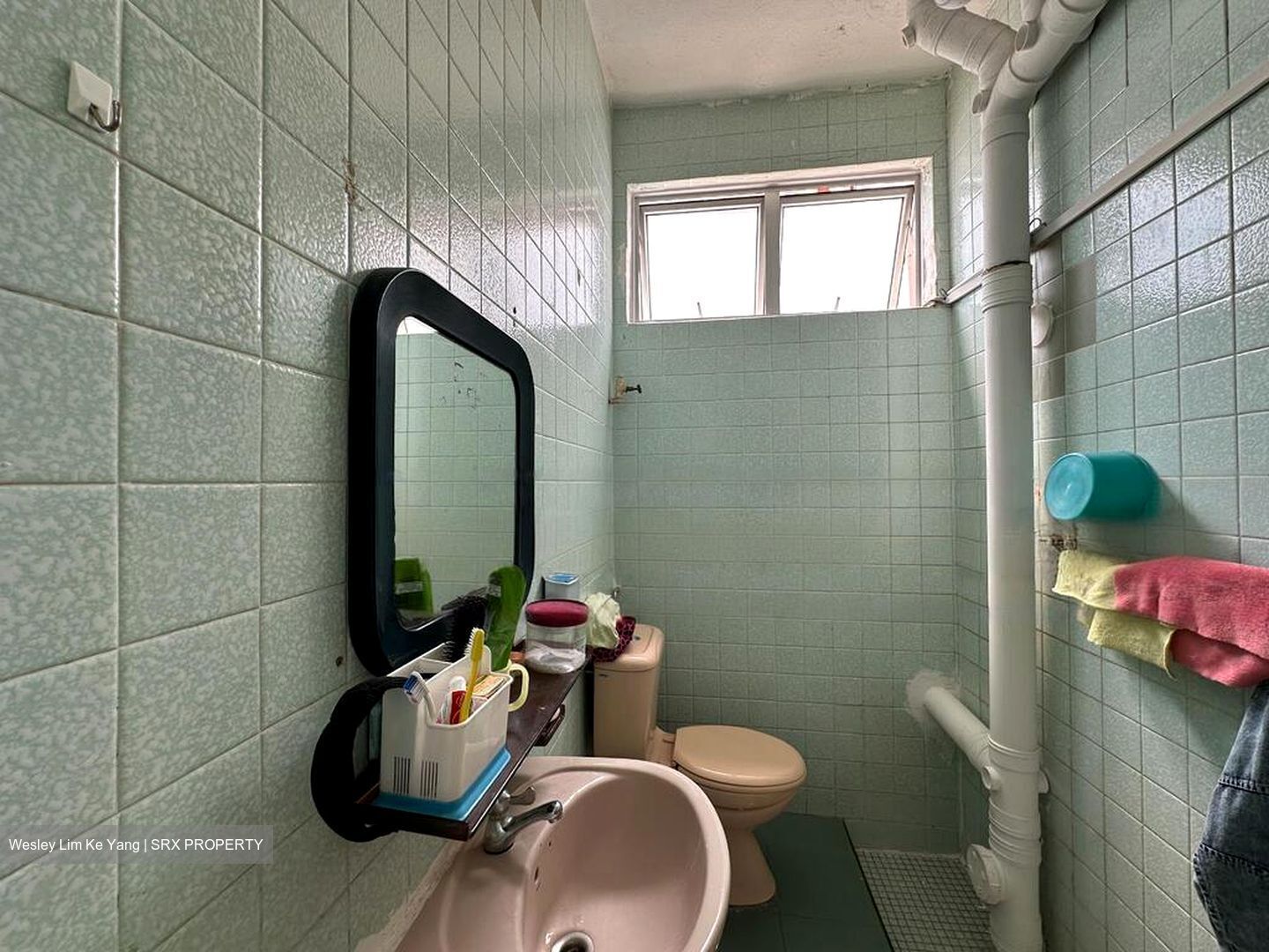 Fengli Gardens (D19), Semi-Detached #473627151